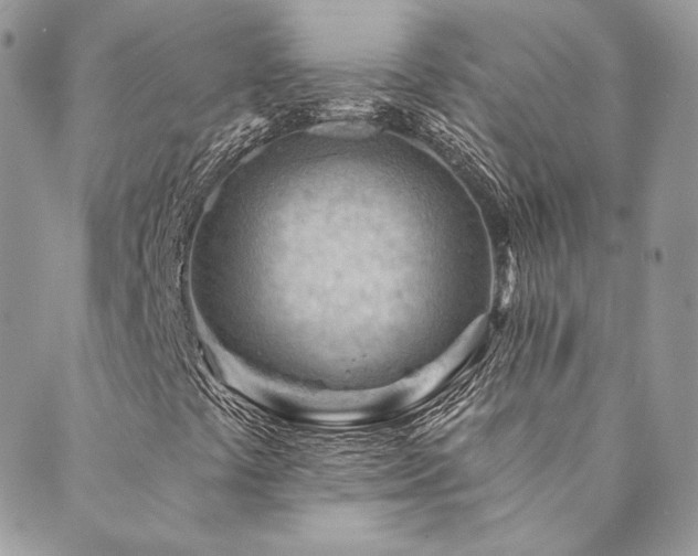 X0000089911441200706291051