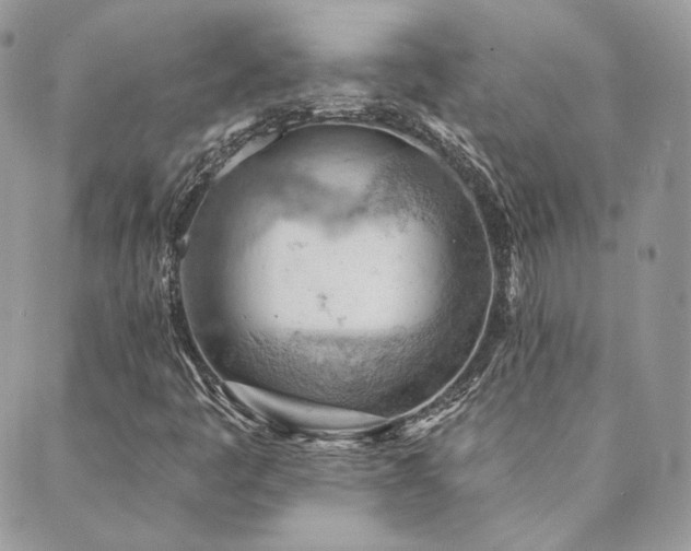 X0000089911445200706291051