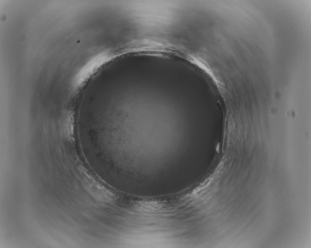 X0000089911455200706291051
