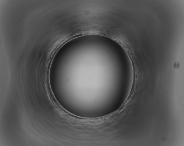 X0000089910001200707061008