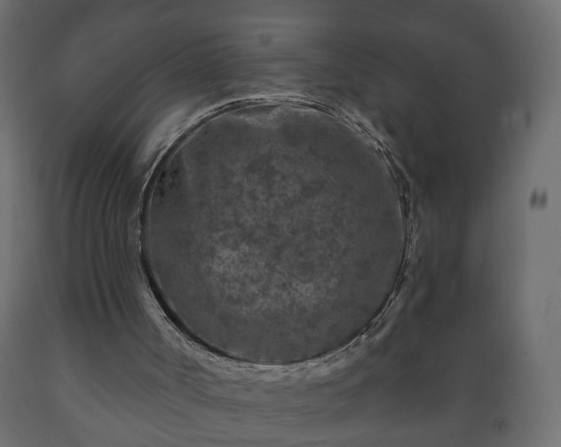 X0000089910002200707061008