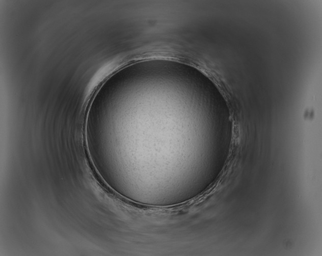 X0000089910004200707061008