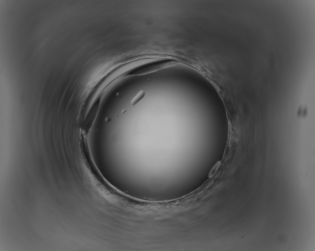 X0000089910005200707061008