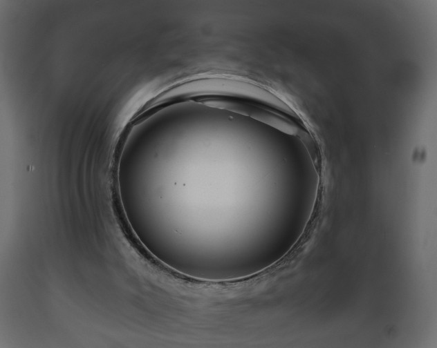 X0000089910007200707061008