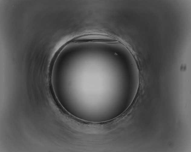 X0000089910008200707061008