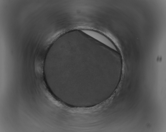 X0000089910009200707061008