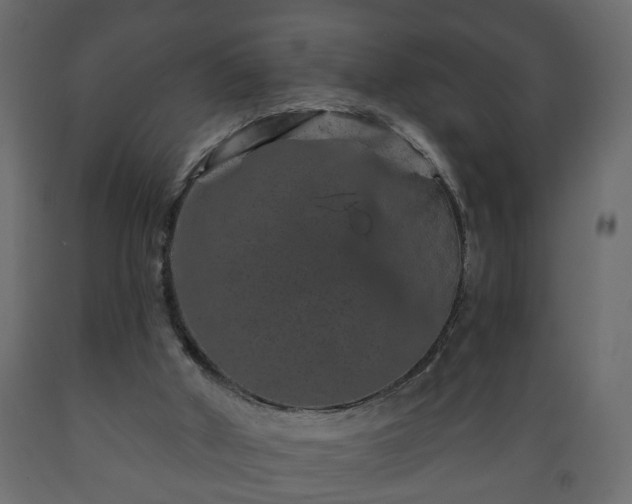 X0000089910010200707061008