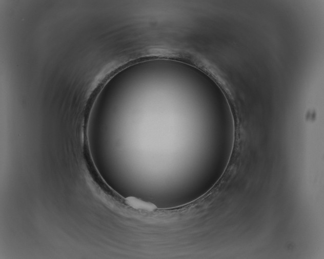 X0000089910011200707061008