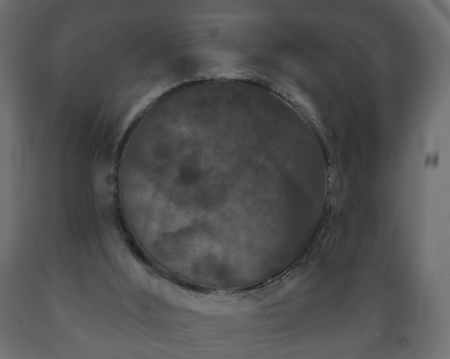 X0000089910012200707061008