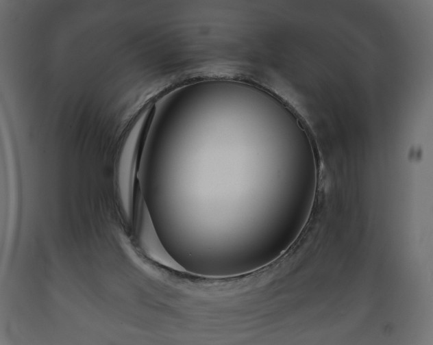 X0000089910013200707061008