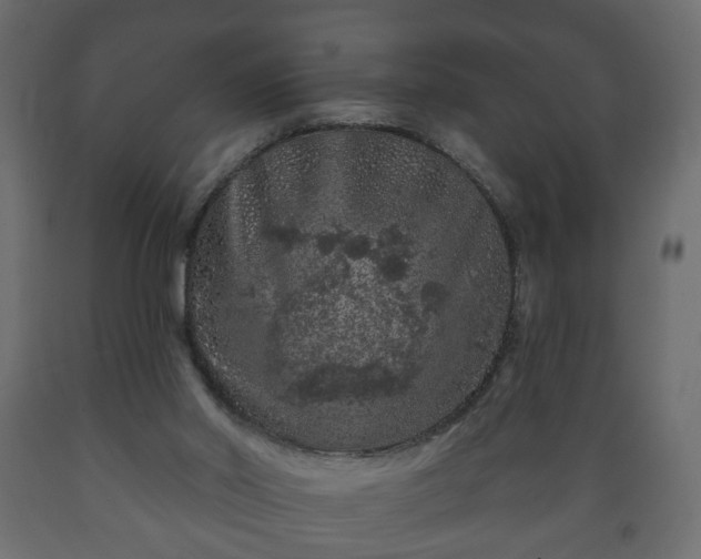 X0000089910014200707061008