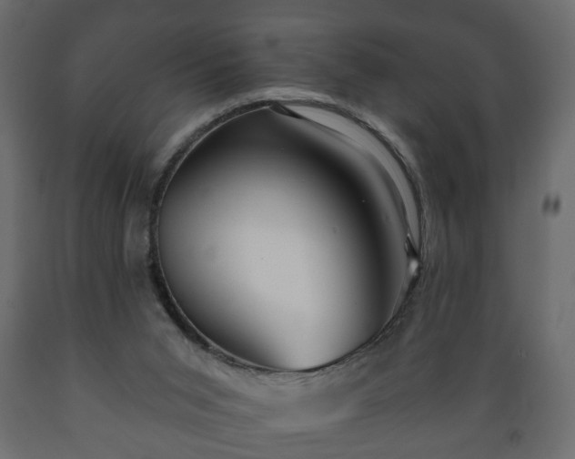 X0000089910015200707061008