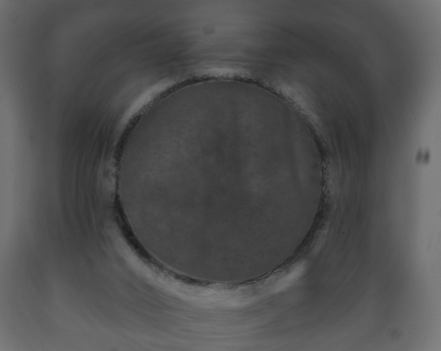 X0000089910016200707061008