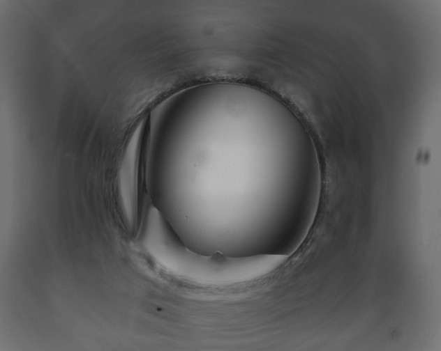 X0000089910017200707061008