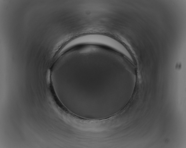 X0000089910019200707061008