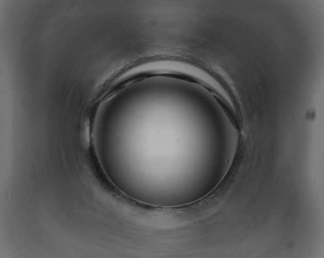 X0000089910020200707061008