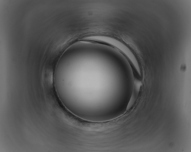 X0000089910021200707061008