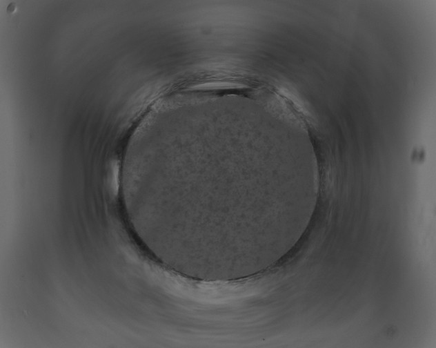 X0000089910022200707061008