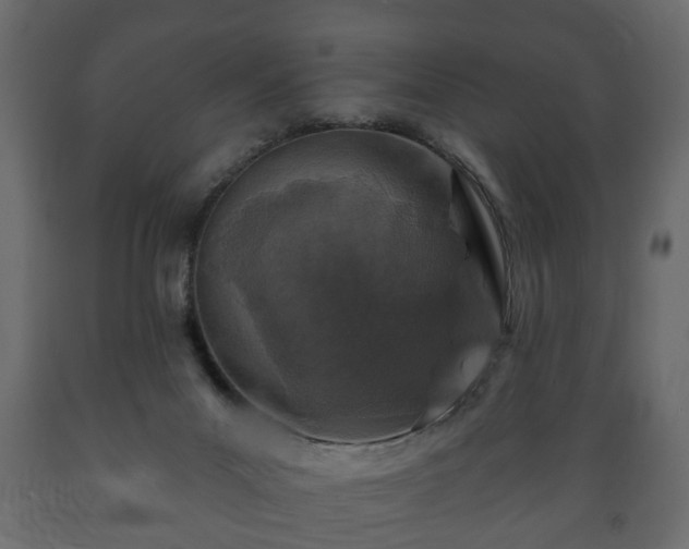 X0000089910023200707061008