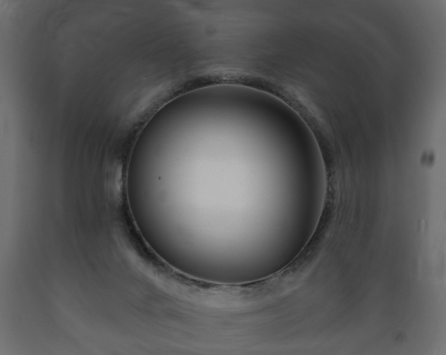 X0000089910024200707061008