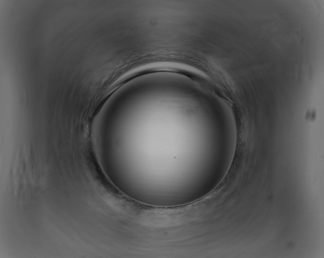 X0000089910025200707061008