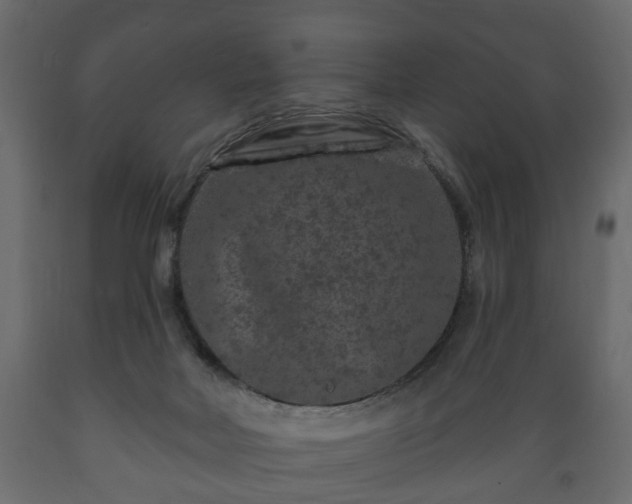 X0000089910026200707061008