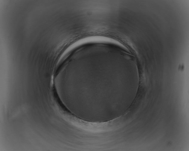 X0000089910027200707061008
