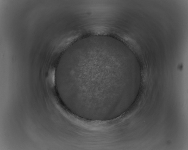 X0000089910028200707061008