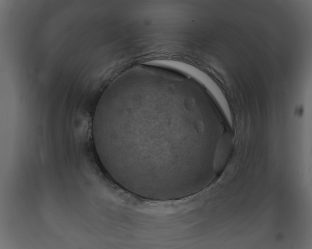 X0000089910029200707061008