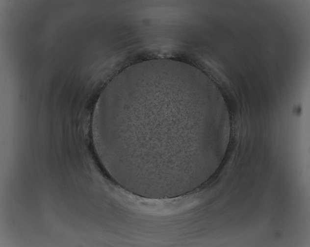 X0000089910030200707061008