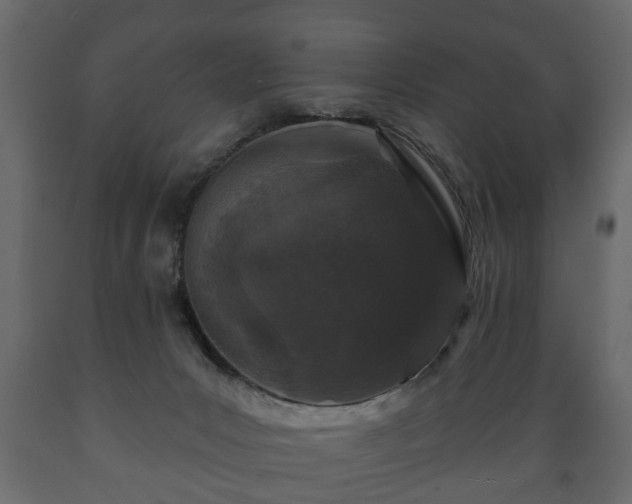 X0000089910031200707061008