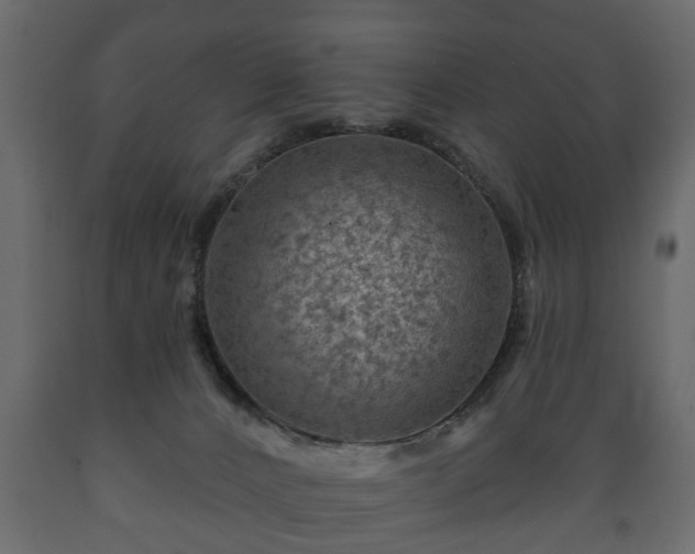 X0000089910032200707061008