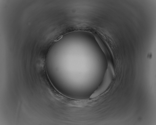 X0000089910033200707061008