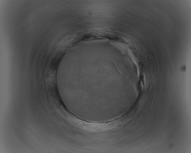 X0000089910034200707061008