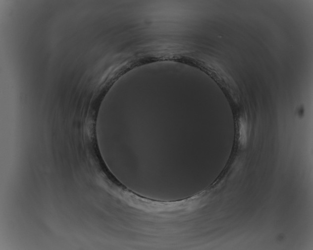 X0000089910035200707061008
