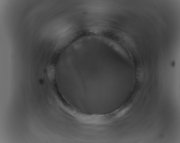 X0000089910036200707061008
