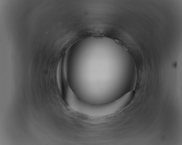 X0000089910037200707061008