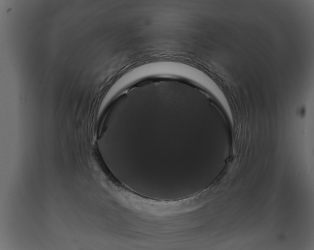 X0000089910039200707061008