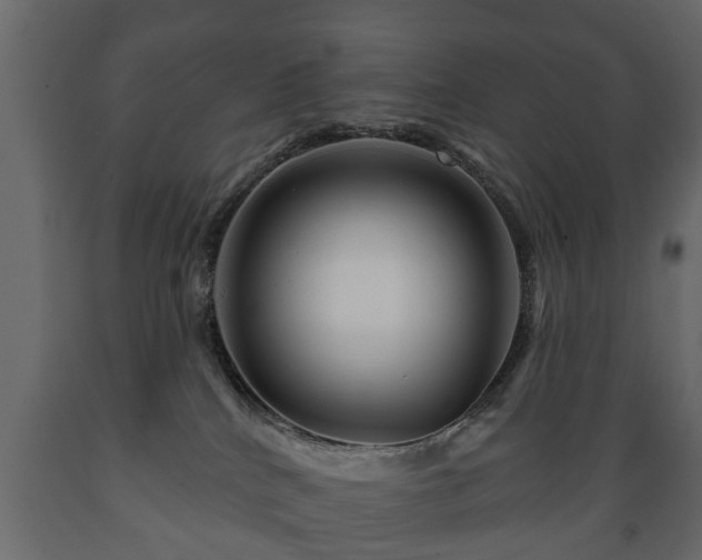 X0000089910040200707061008