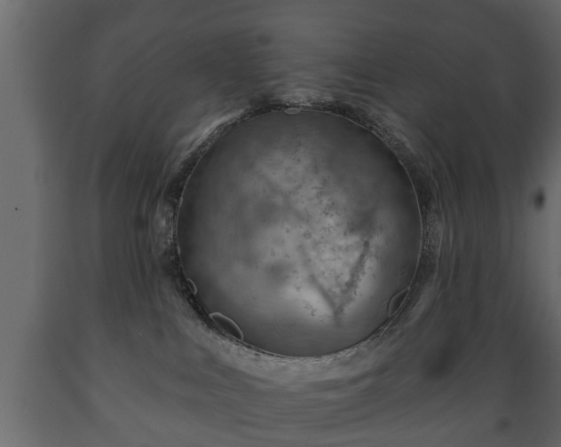 X0000089910043200707061008