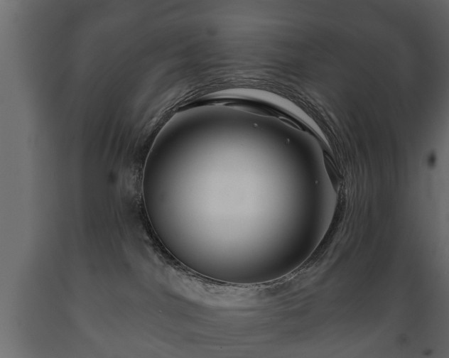 X0000089910044200707061008