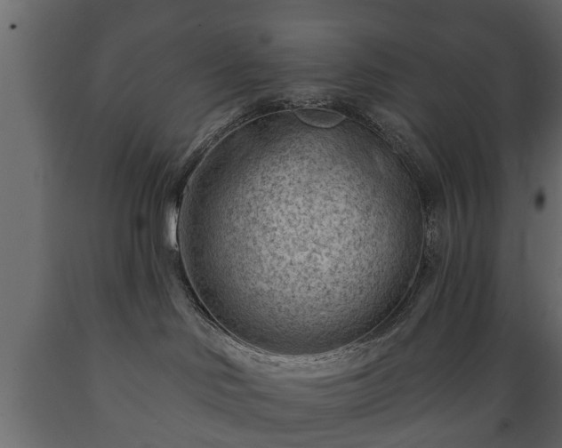 X0000089910046200707061008