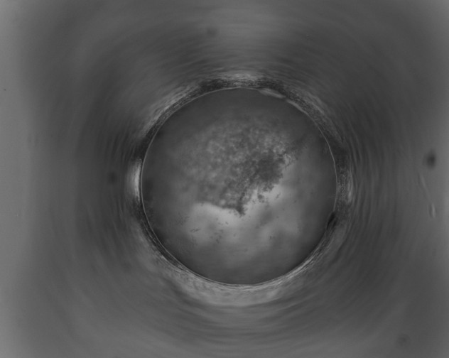X0000089910047200707061008