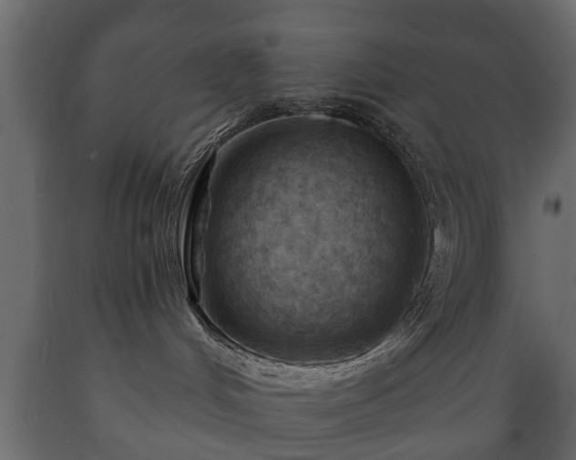 X0000089910048200707061008