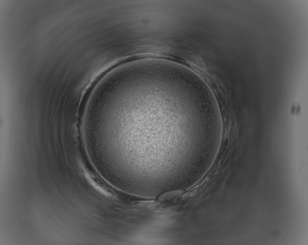 X0000089910050200707061007
