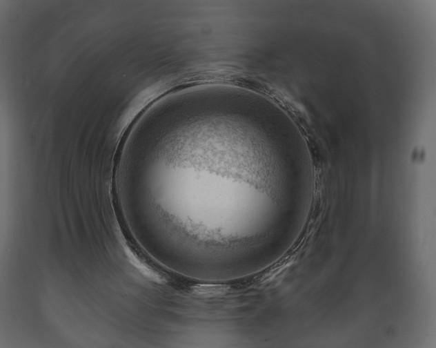 X0000089910051200707061007