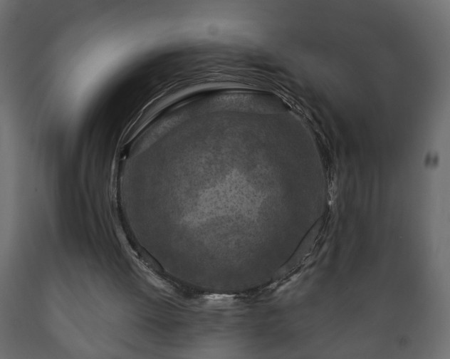 X0000089910052200707061007