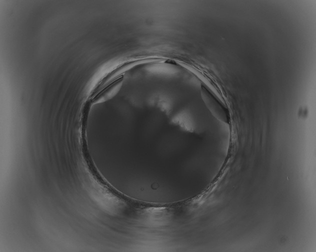 X0000089910054200707061007