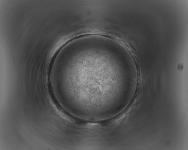 X0000089910055200707061007