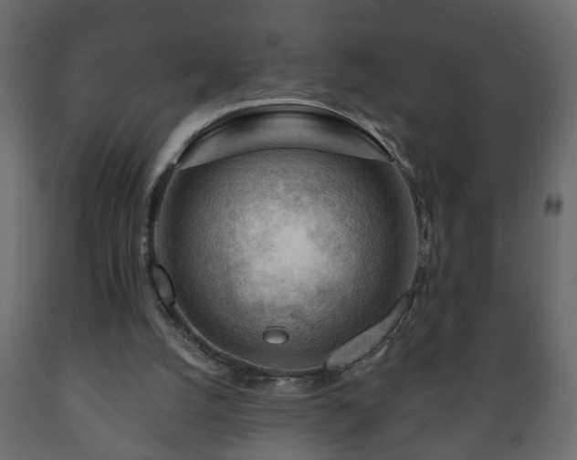 X0000089910056200707061007